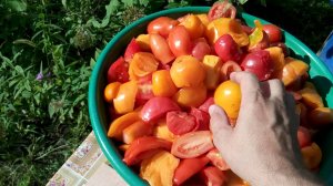 Соковыжималка Нектар 302, привет из СССР