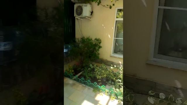 50571.mp4 смотреть онлайн