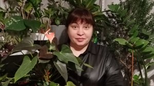 Rutub плюс  ВК тематика моей группы и  моего канала