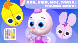Лоб, уши, нос, глаза — собери меня! | Цветняшки! Мировые хиты | мультик 0+