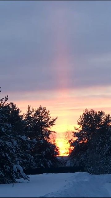 21-01-2024 смотреть онлайн