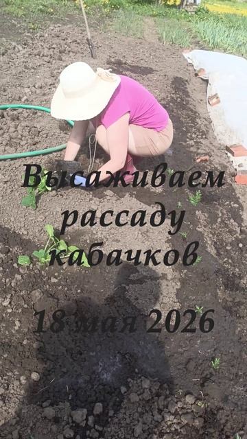 13 мая 2026