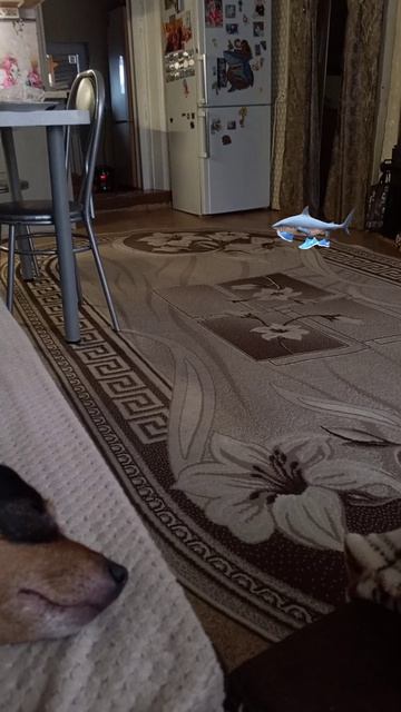 Ми