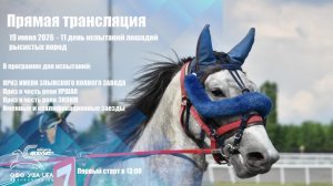 LIVE: Ипподром «Акбузат» имени Т.Т. Кусимова
