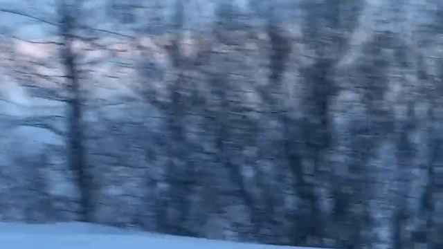 21-01-2024 смотреть онлайн