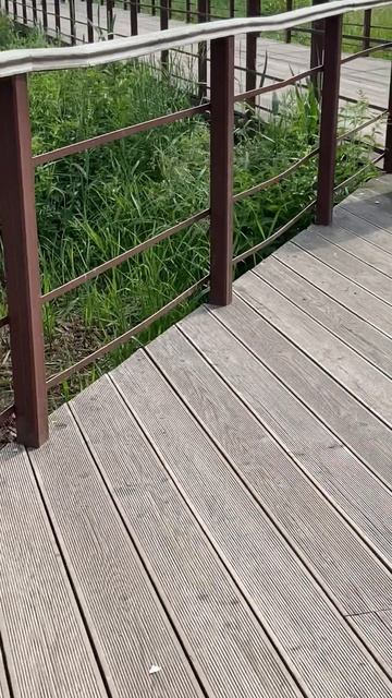 Утренняя прогулка рядом с домом. Хорошо, когда выходной и погода шикарная!