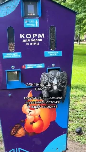Взломщики