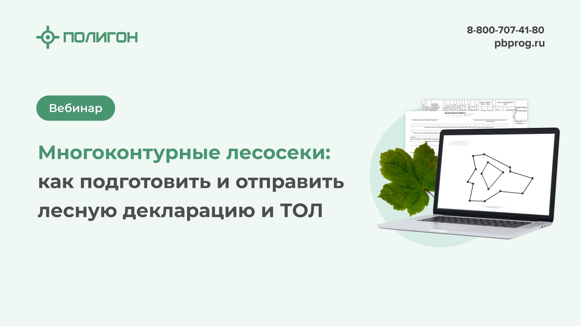 Лесное законодательство 2026: Новые правила Рослесхоза и Минприроды