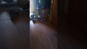 1000012446.mp4
