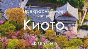Киото, Япония 4K — Расслабляющая музыка на фортепиано для сна, отдыха и работы