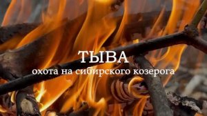Охота на сибирского козерога в Туве