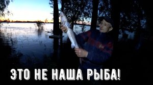 Рыбалка в Нижневартовске 17-18 июня 2026