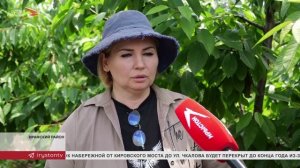 В Северной Осетии начался сбор черешни