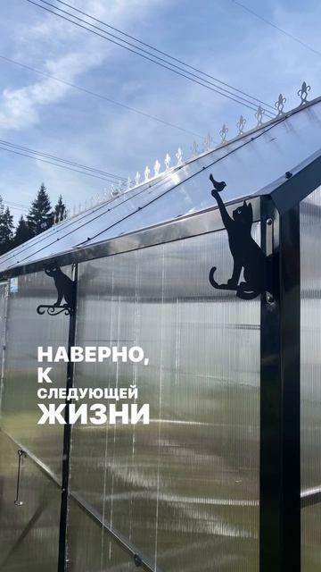 теплицы домики