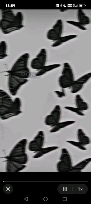 пр