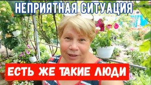 284Неприятная ситуация/Есть такие люди/Начала чистить клубнику/Собрала малину/Покосила газон