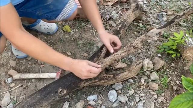 ПОДЕЛКА ИЗ ЦЕМЕНТА И ПОДДОНОВ. Своими руками БАР для сада😍🏡 смотреть онлайн