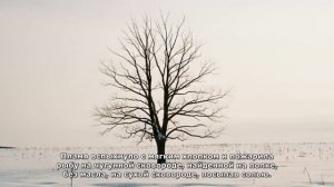 ИСТОРИ ИЗ ЖИЗНИ.