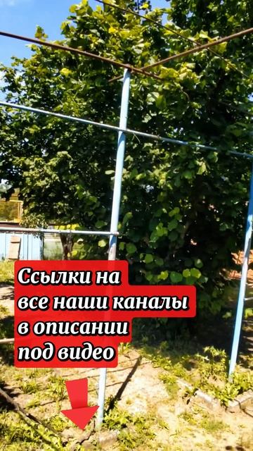 🏡Два дома на участке❗89 м²🦯25 соток🦯3 700 000₽🦯село Большой Бейсуг🦯89245404992 Виктор Саликов🌴