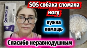 Мои подписчикам спасибо за помощь! Спасибо за просмотры .