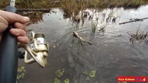 Вспоминая сезон 2025🎣 #Рыбалка #Карелия #РыбалкавКарелии #Спиннинг #Щука