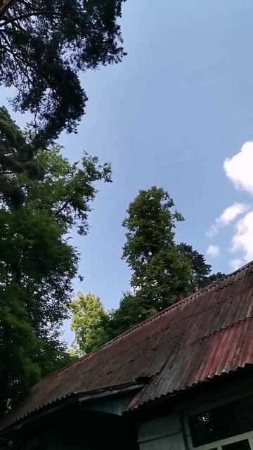 Фулл. Самолёты с дачи, все части смотреть онлайн