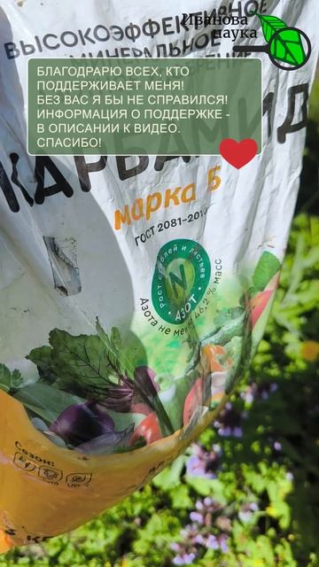 🌱 КОПЕЕЧНЫЙ аналог: как не переплачивать в 60 раз за это популярное удобрение 🤫