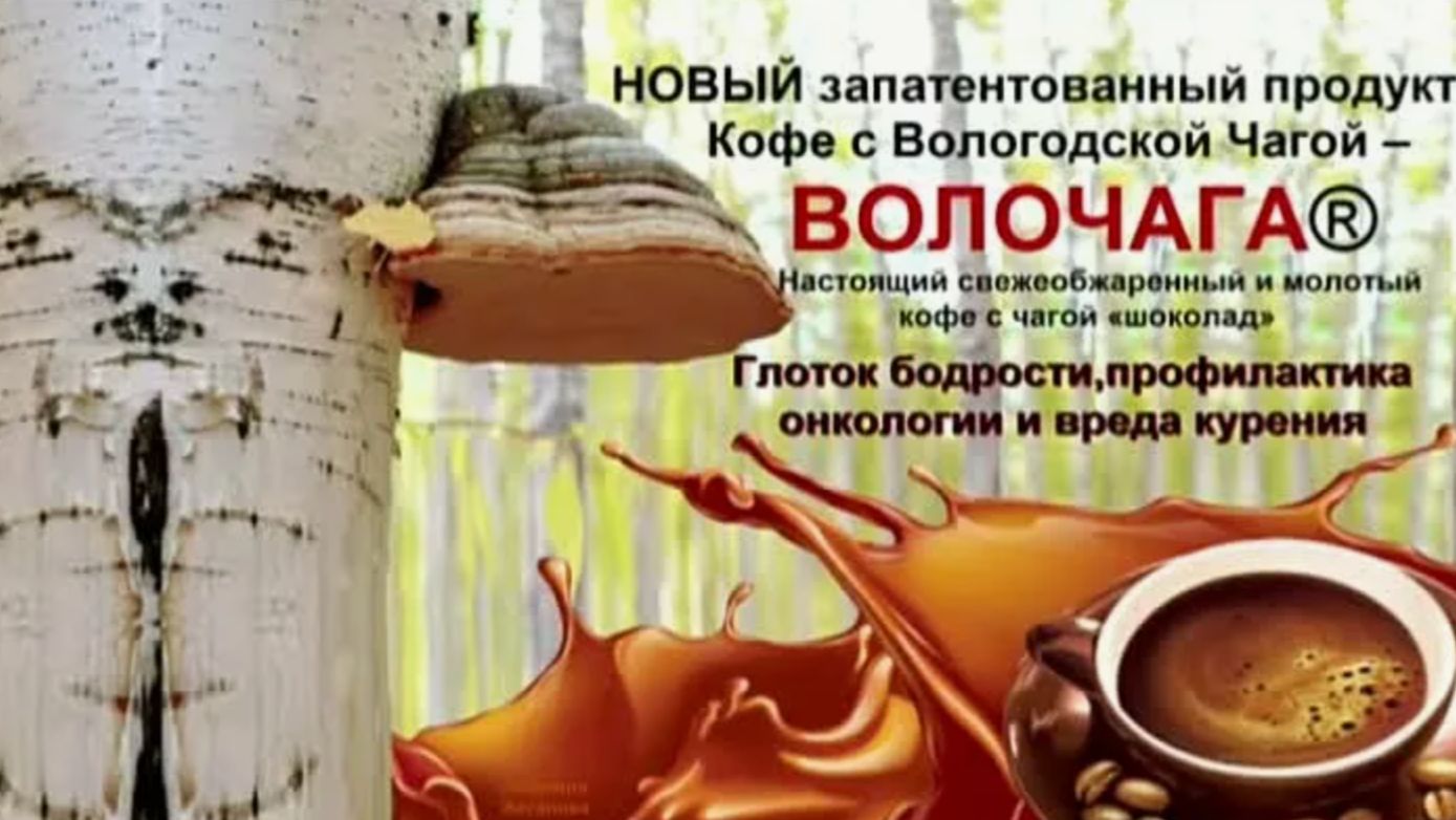 Кофе Волочага от перфект органикс смотреть онлайн