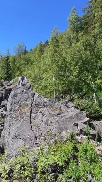Лайт прогулка 🏞️ смотреть онлайн