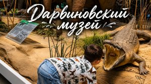 Дарвиновский музей, Москва🦒18.06.2026