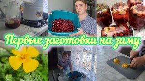 ЛЕТНИЙ ВЛОГ🌻КОМПОТИК АССОРТИ НА ЗИМУ🍒ПРОБУЕМ КОПАТЬ КАРТОШКУ🥔