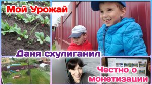 Мой урожай/Даня сильно схулиганил/Честно о монетизации.Всё покажу/Болталка   Часть 4