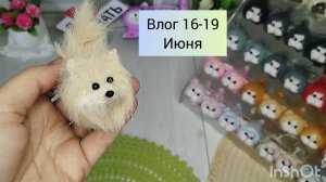 Творческие будни после мини отпуска/ новая собачка вяжется