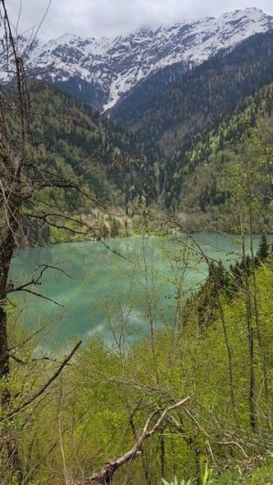 Рицинский реликтовый национальный парк. Озеро Рица.