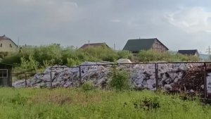ВЫШЕ ЗАБОРА: СОСЕД ЗАВАЛИЛ УЧАСТОК МУСОРОМ