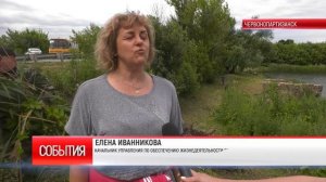 ЧИСТЫЙ БЕРЕГ, ЧИСТЫЙ ПРУД