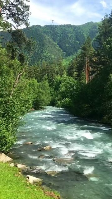 Природа смотреть онлайн