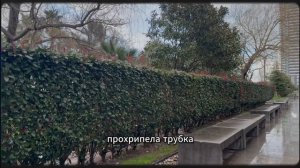 СЕМЬ ЛЕТ КОПИЛА НА ЕДИНСТВЕННЫЙ ШАНС... НО МУЖ ЗАБРАЛ ВСЕ ДЕНЬГИ ДЛЯ ДРУГОЙ...