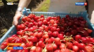 Команда программы «Утро России» побывала на Ставрополье и поделилась впечатлениями