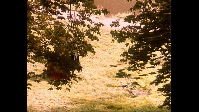 "Графиня де Монсоро" (1997) // 16 серия смотреть онлайн
