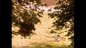«Графиня де Монсоро» (1997) // 16 серия