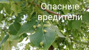 Вода в море +23🌊☀️ Дом от дерева «освободили»