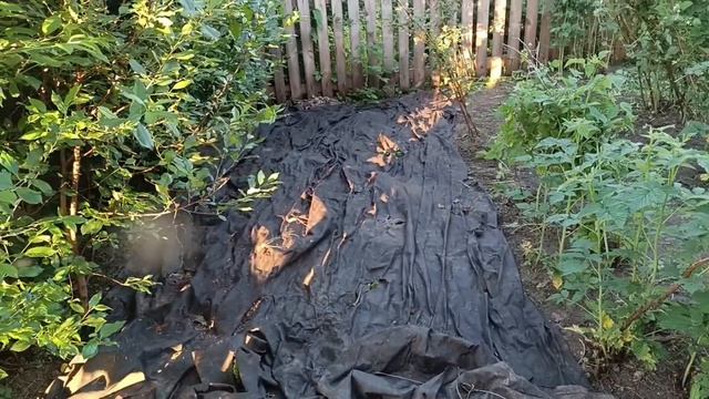 начали косить траву новой косилкой.Работаем с утра до ночи.жизнь в деревне.