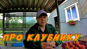 ГОТОВИМ МОРОЗИЛЬНЫЙ ЛАРЬ  ПРО КЛУБНИКУ