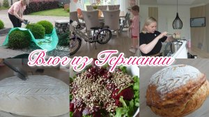 VLOG🇩🇪: ЛИЗА НЕ ОЖИДАЛА ТАКОГО ПОДАРКА🙂🎊ПОДСТРИГАЮ КУСТЫ/ КАК МЫ ВЫПЕКАЕМ ХЛЕБ ( РЕЦЕПТ)