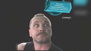 Стимул