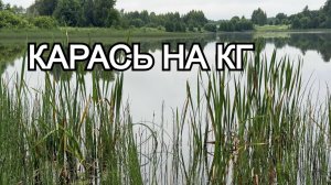 Рыбалке на озере. Крупный карась. Как поймать большую РЫБУ.