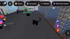 приют для кошек