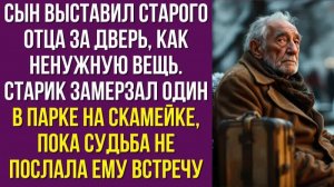 Сын выставил старого отца за дверь, как ненужную вещь. Старик замерзал один в парке на скамейке