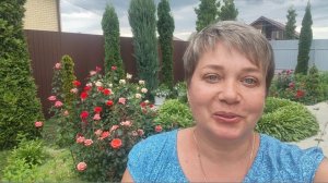 Начинается сбор урожая
